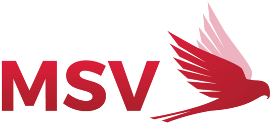 MSV
