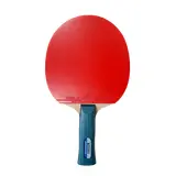 Набор для настольного тенниса TT Buddy V200