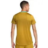 Футболка Nike Court Dri Fit Advantage Bronzine/Washed Teal/White