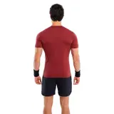 Мужская футболка Hydrogen 3D Tennis Ball Tech Bordeaux