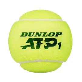 Теннисные мячи Dunlop ATP Championship 4 мяча