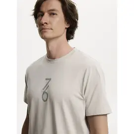 Футболка мужская 7/6 Victory Cotton T-shirt Grey