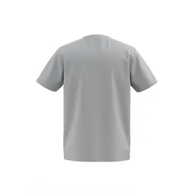 Футболка мужская 7/6 Victory Cotton T-shirt Grey