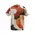 Футболка мужская 7/6 Loddy T-shirt 2.0 Orange Blossom