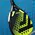 Ракетка для падел Tecnifibre Bomba Speed (2026)