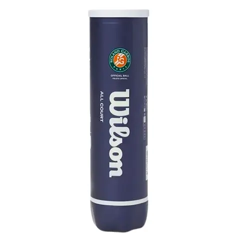 Теннисные мячи Wilson Roland Garros All Court 4 мяча