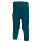 Брюки Joma Stripe Adventure Green