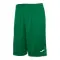 Шорты Joma Nobel Green