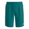 Шорты мужские Bidi Badu Spike Crew 9" Dark Green