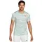 Футболка Nike Dri Fit Advantage Green/White
