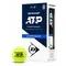 Теннисные мячи Dunlop ATP Championship 8 мячей 2 (2 х 4)
