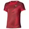 Футболка Mizuno Stargazer Shadow Graphic Sun Dried Tomato