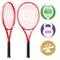 Теннисная ракетка Wilson Defyer 100 V1