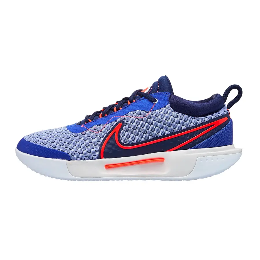 Кроссовки Nike Zoom Court Pro Lapis/Navy