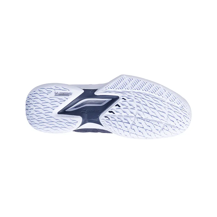 Теннисные кроссовки Babolat Jet Tere 2 All Court W Queen Jio Grey