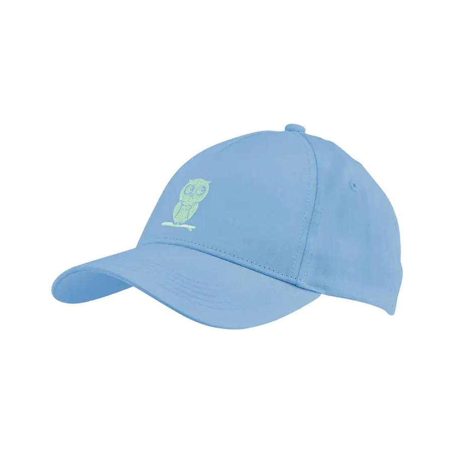 Детская кепка Head Kids Cap Owl Turquoise/Light Blue