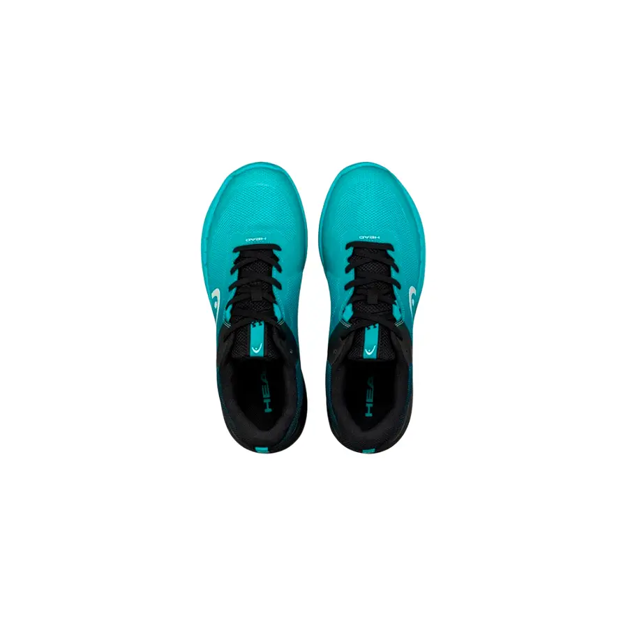 Теннисные кроссовки Head Sprint Evo 3.5 Clay Men Black/Blue