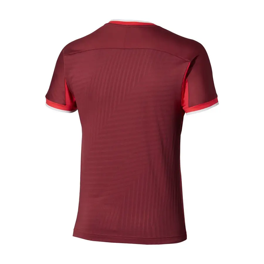 Футболка Mizuno Stargazer Shadow Graphic Sun Dried Tomato